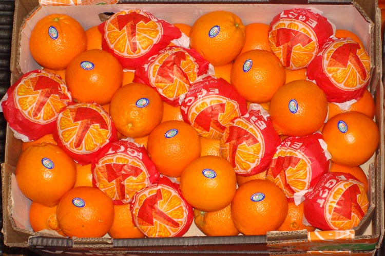 22116orange.jpg