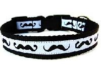 26247pet-collars-2543919.jpg