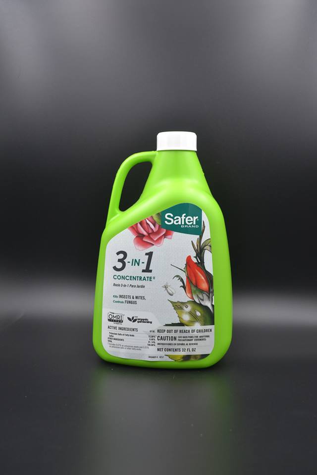 27779safer.jpg