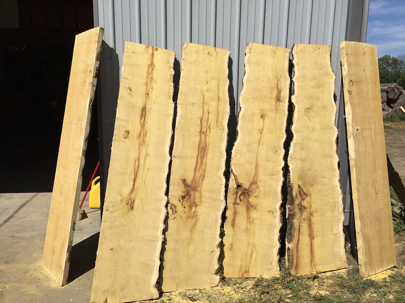 51661osage-orange-slabs.jpg