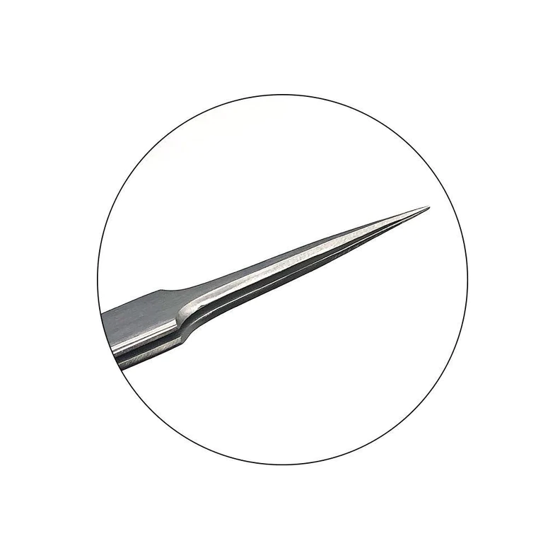 55853lash-tweezers.webp