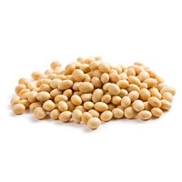 80085soybeans-845855.jpg