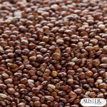9643red-quonia-seeds.jpg